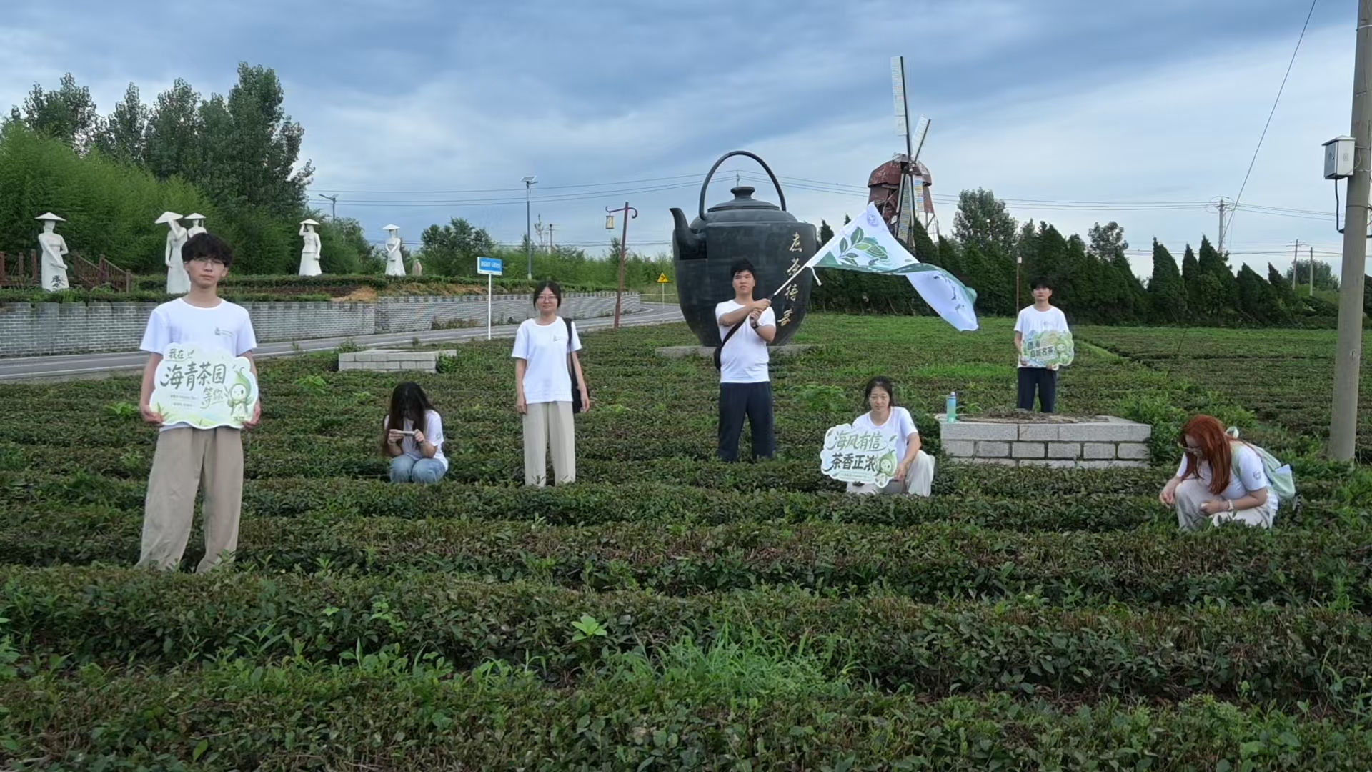 茶叙青禾队员在海青茶园开展实践